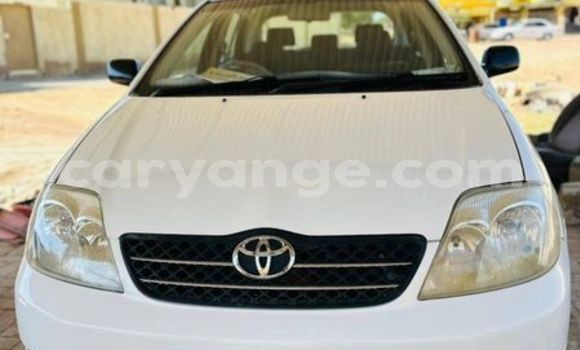 Acheter Occasion Voiture Toyota Runx Autre à Windhoek, Namibie