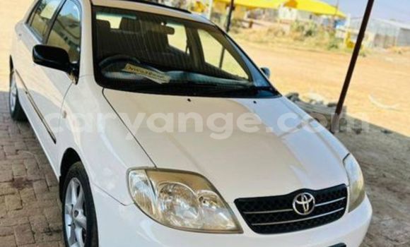 Acheter Occasion Voiture Toyota Runx Autre à Windhoek, Namibie Acheter Occasion Voiture Toyota Runx Autre à Windhoek, Namibie