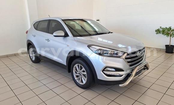 Buy Used Hyundai Tucson Silver Car in Windhoek in Namibia Buy Used Hyundai Tucson Silver Car in Windhoek in Namibia