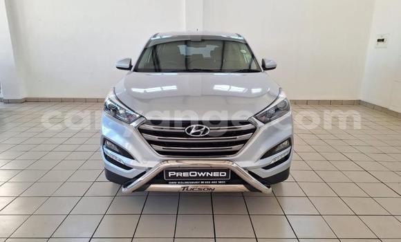 Buy Used Hyundai Tucson Silver Car in Windhoek in Namibia Buy Used Hyundai Tucson Silver Car in Windhoek in Namibia