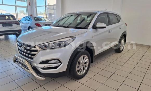 Buy Used Hyundai Tucson Silver Car in Windhoek in Namibia Buy Used Hyundai Tucson Silver Car in Windhoek in Namibia