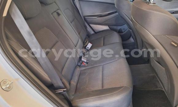 Buy Used Hyundai Tucson Silver Car in Windhoek in Namibia Buy Used Hyundai Tucson Silver Car in Windhoek in Namibia