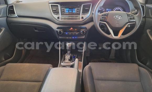 Buy Used Hyundai Tucson Silver Car in Windhoek in Namibia Buy Used Hyundai Tucson Silver Car in Windhoek in Namibia