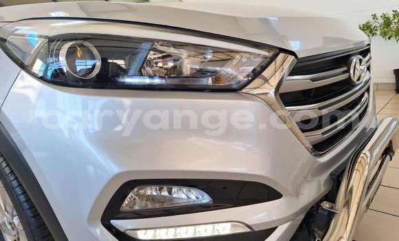 Buy Used Hyundai Tucson Silver Car in Windhoek in Namibia Buy Used Hyundai Tucson Silver Car in Windhoek in Namibia