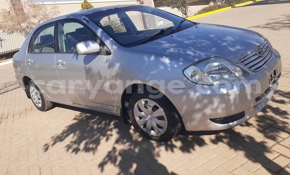Buy Used Toyota Corolla Other Car in Grootfontein in Namibia