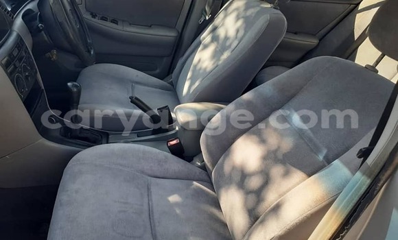 Acheter Occasion Voiture Toyota Corolla Autre à Grootfontein, Namibie Acheter Occasion Voiture Toyota Corolla Autre à Grootfontein, Namibie