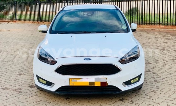 Buy Used Ford Focus White Car in Grootfontein in Namibia