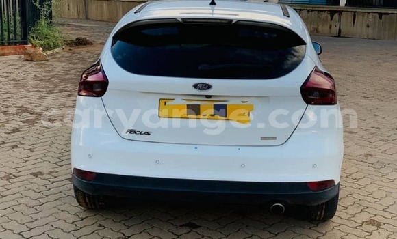 Buy Used Ford Focus White Car in Grootfontein in Namibia Buy Used Ford Focus White Car in Grootfontein in Namibia