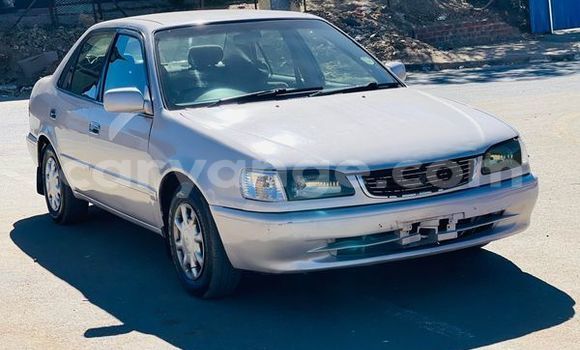 Acheter Occasion Voiture Toyota Corolla Autre à Aranos, Hardap