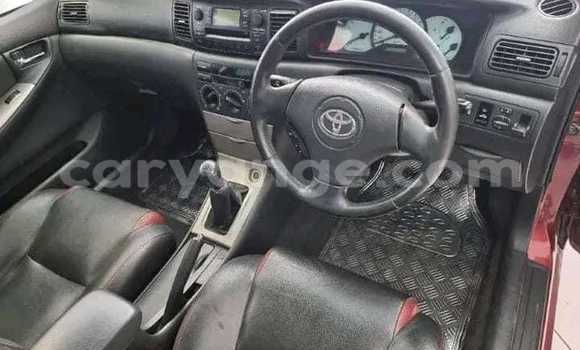 Acheter Occasion Voiture Toyota Runx Rouge à Gobabis, Omaheke Acheter Occasion Voiture Toyota Runx Rouge à Gobabis, Omaheke