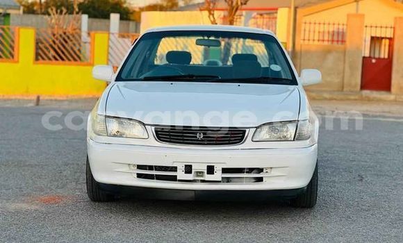 Buy Used Toyota 4Runner Other Car in Windhoek in Namibia