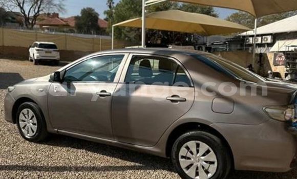 Acheter Occasion Voiture Toyota Altezza Autre à Windhoek, Namibie Acheter Occasion Voiture Toyota Altezza Autre à Windhoek, Namibie