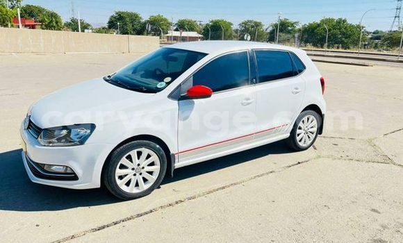 Buy Used Volkswagen Polo White Car in Windhoek in Namibia