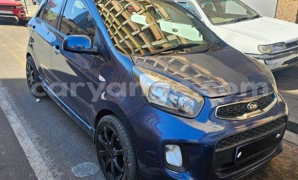 Buy Used Kia Picanto Blue Car in Gobabis in Omaheke