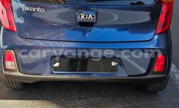 Buy Used Kia Picanto Blue Car in Gobabis in Omaheke Buy Used Kia Picanto Blue Car in Gobabis in Omaheke