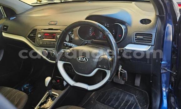 Buy Used Kia Picanto Blue Car in Gobabis in Omaheke Buy Used Kia Picanto Blue Car in Gobabis in Omaheke