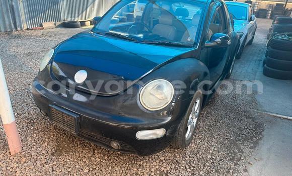 Buy Used Volkswagen Beetle Black Car in Windhoek in Namibia