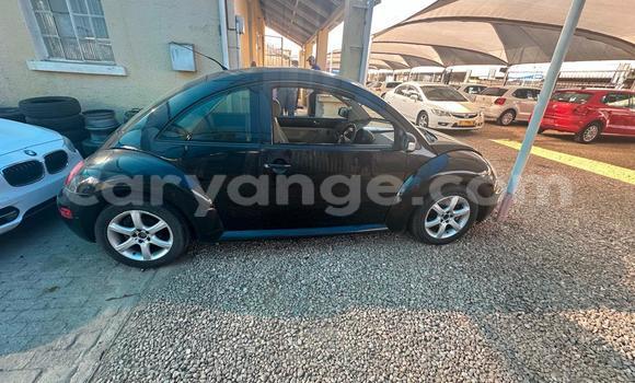 Acheter Occasion Voiture Volkswagen Beetle Noir à Windhoek, Namibie Acheter Occasion Voiture Volkswagen Beetle Noir à Windhoek, Namibie