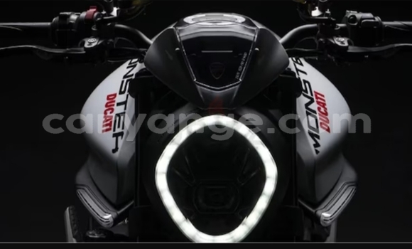 Buy Used Ducati Monster White Bike in Windhoek in Namibia Buy Used Ducati Monster White Bike in Windhoek in Namibia
