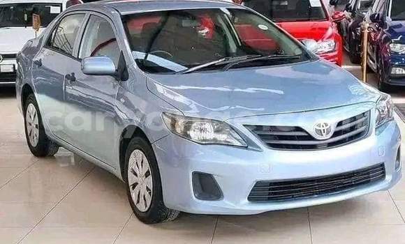 Buy Used Toyota Corolla Blue Car in Gobabis in Omaheke Buy Used Toyota Corolla Blue Car in Gobabis in Omaheke
