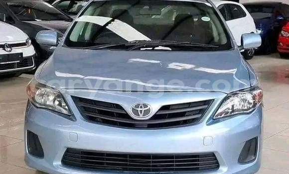 Buy Used Toyota Corolla Blue Car in Gobabis in Omaheke Buy Used Toyota Corolla Blue Car in Gobabis in Omaheke