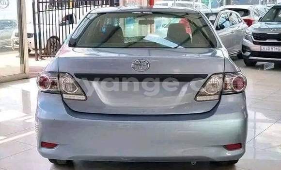Buy Used Toyota Corolla Blue Car in Gobabis in Omaheke Buy Used Toyota Corolla Blue Car in Gobabis in Omaheke