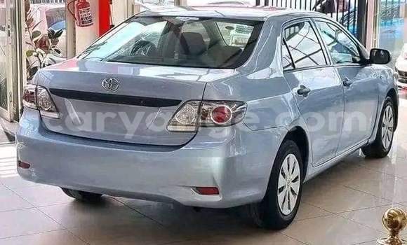 Buy Used Toyota Corolla Blue Car in Gobabis in Omaheke Buy Used Toyota Corolla Blue Car in Gobabis in Omaheke