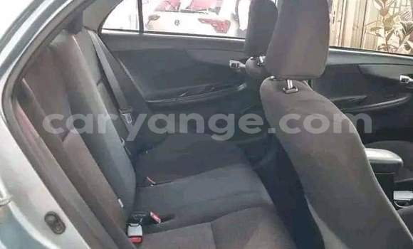 Buy Used Toyota Corolla Blue Car in Gobabis in Omaheke Buy Used Toyota Corolla Blue Car in Gobabis in Omaheke