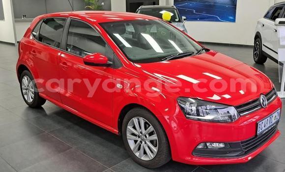 Buy Used Volkswagen Polo Red Car in Gobabis in Omaheke