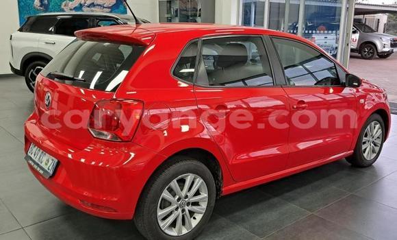 Buy Used Volkswagen Polo Red Car in Gobabis in Omaheke Buy Used Volkswagen Polo Red Car in Gobabis in Omaheke