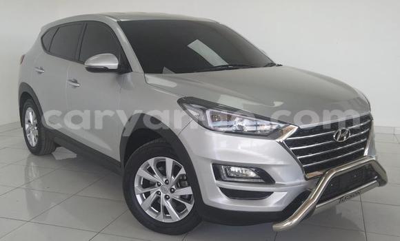Acheter Occasion Voiture Hyundai Tucson Gris à Gobabis, Omaheke Acheter Occasion Voiture Hyundai Tucson Gris à Gobabis, Omaheke