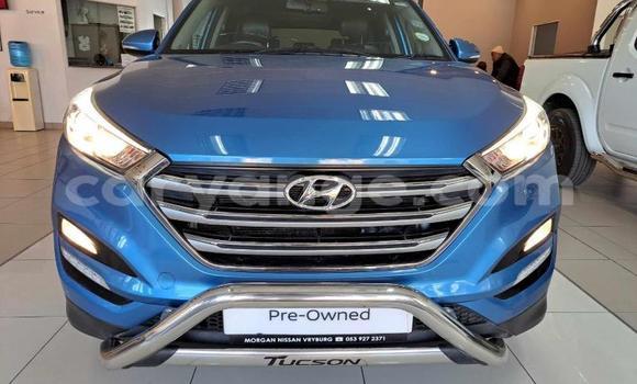 Buy Used Hyundai Tucson Blue Car in Gobabis in Omaheke Buy Used Hyundai Tucson Blue Car in Gobabis in Omaheke