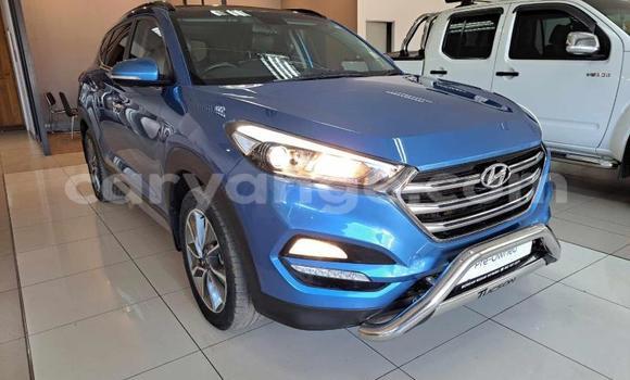 Buy Used Hyundai Tucson Blue Car in Gobabis in Omaheke Buy Used Hyundai Tucson Blue Car in Gobabis in Omaheke