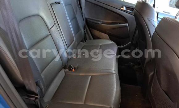 Buy Used Hyundai Tucson Blue Car in Gobabis in Omaheke Buy Used Hyundai Tucson Blue Car in Gobabis in Omaheke