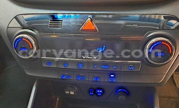 Buy Used Hyundai Tucson Blue Car in Gobabis in Omaheke Buy Used Hyundai Tucson Blue Car in Gobabis in Omaheke