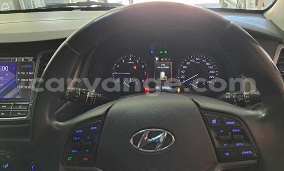 Buy Used Hyundai Tucson Blue Car in Gobabis in Omaheke Buy Used Hyundai Tucson Blue Car in Gobabis in Omaheke