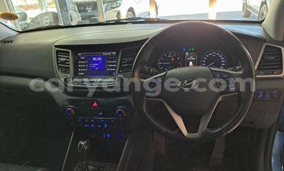 Buy Used Hyundai Tucson Blue Car in Gobabis in Omaheke Buy Used Hyundai Tucson Blue Car in Gobabis in Omaheke