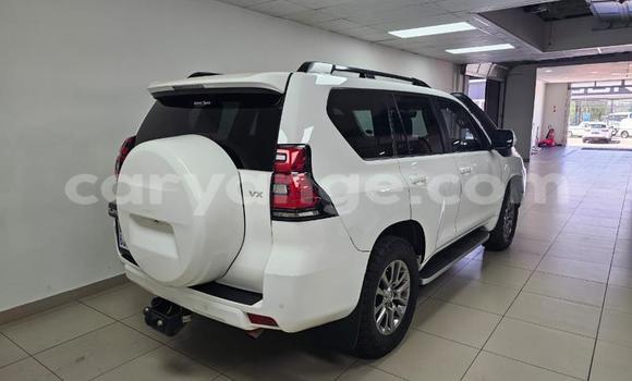 Acheter Occasion Voiture Toyota Land Cruiser Prado Blanc à Gobabis, Omaheke Acheter Occasion Voiture Toyota Land Cruiser Prado Blanc à Gobabis, Omaheke