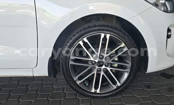 Buy Used Kia Rio White Car in Gobabis in Omaheke Buy Used Kia Rio White Car in Gobabis in Omaheke