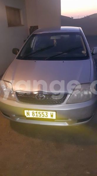 Big with watermark 13620816 1203897516298252 4539706352326821138 n