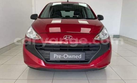Buy Used Hyundai Atos Red Car in Gobabis in Omaheke Buy Used Hyundai Atos Red Car in Gobabis in Omaheke