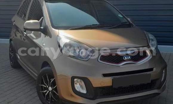 Buy Used Kia Picanto Brown Car in Windhoek in Namibia