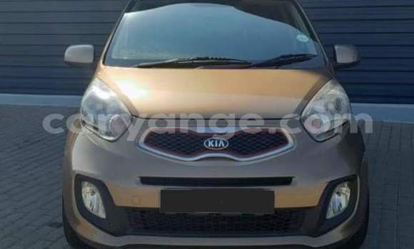 Buy Used Kia Picanto Brown Car in Windhoek in Namibia Buy Used Kia Picanto Brown Car in Windhoek in Namibia