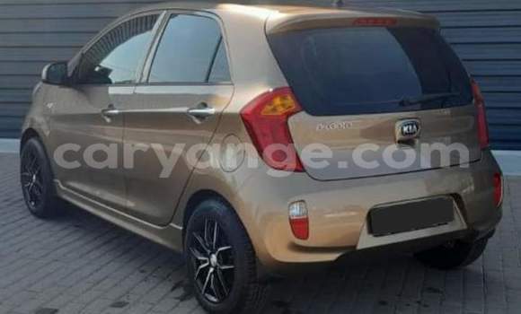 Buy Used Kia Picanto Brown Car in Windhoek in Namibia Buy Used Kia Picanto Brown Car in Windhoek in Namibia