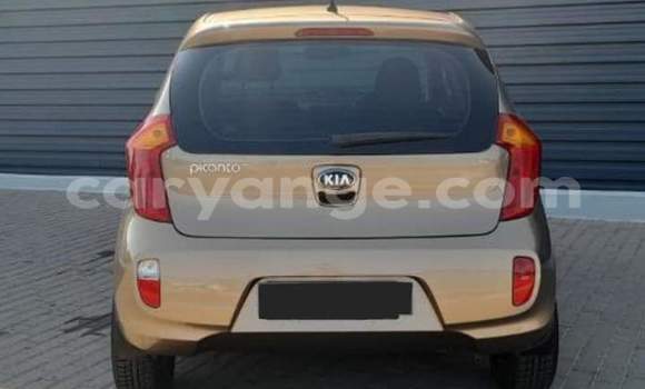Buy Used Kia Picanto Brown Car in Windhoek in Namibia Buy Used Kia Picanto Brown Car in Windhoek in Namibia