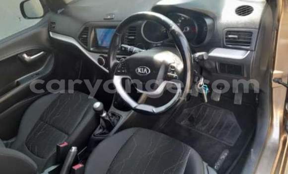 Buy Used Kia Picanto Brown Car in Windhoek in Namibia Buy Used Kia Picanto Brown Car in Windhoek in Namibia