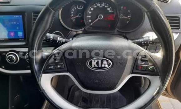 Buy Used Kia Picanto Brown Car in Windhoek in Namibia Buy Used Kia Picanto Brown Car in Windhoek in Namibia