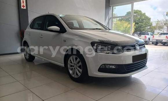 Buy Used Volkswagen Polo White Car in Windhoek in Namibia