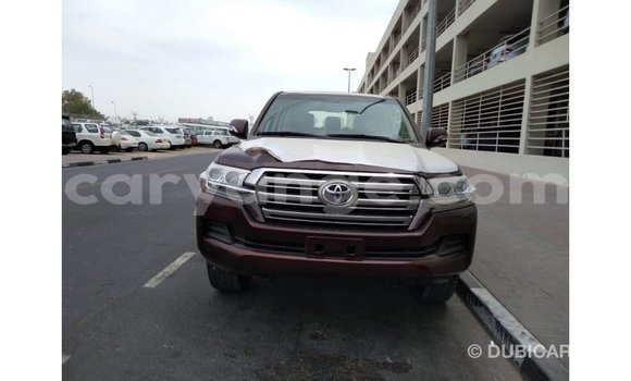 Buy Import Toyota Land Cruiser Brown Car in Import - Dubai in Namibia Buy Import Toyota Land Cruiser Brown Car in Import - Dubai in Namibia
