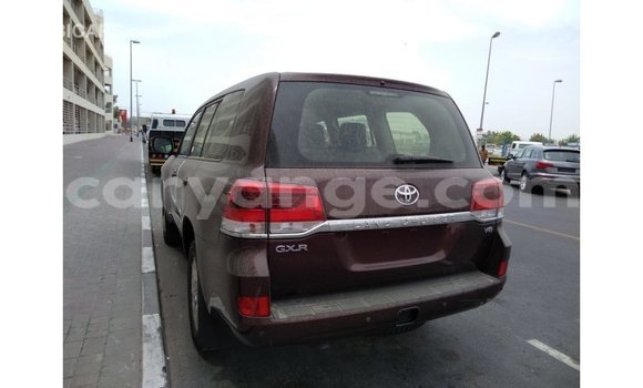 Buy Import Toyota Land Cruiser Brown Car in Import - Dubai in Namibia Buy Import Toyota Land Cruiser Brown Car in Import - Dubai in Namibia